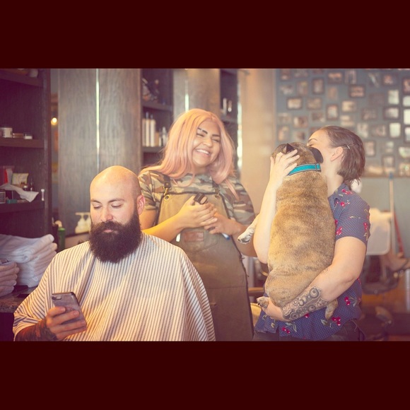 Meet your Posher, Alondra - Picture 1 of 6